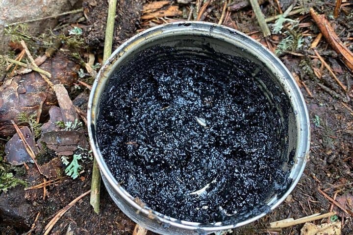 Stockholm Foraging & Outdoor Cooking: 3-Course Fire Meal