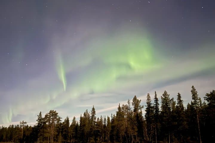 Northern Lights Chase with open fire Dinner in Kiruna