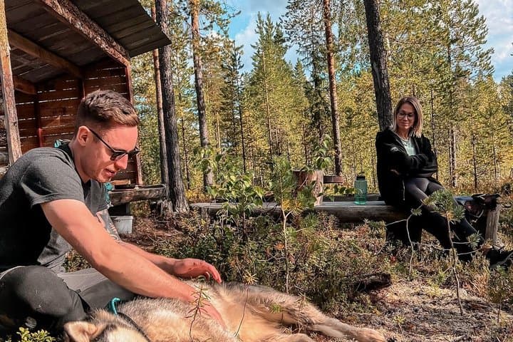Nordic Wild Trek hike with sled dogs in Lapland