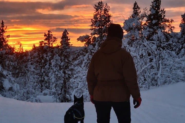 Kiruna: Private Snowshoeing & Sauna Experience