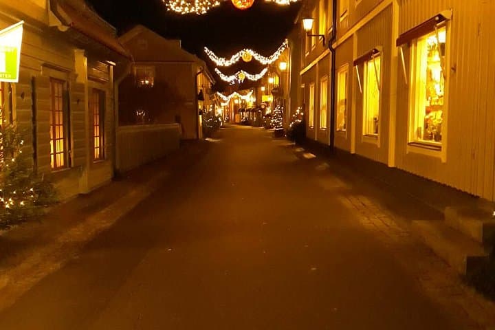Private Chauffeur Stockholm Uppsala Sigtuna