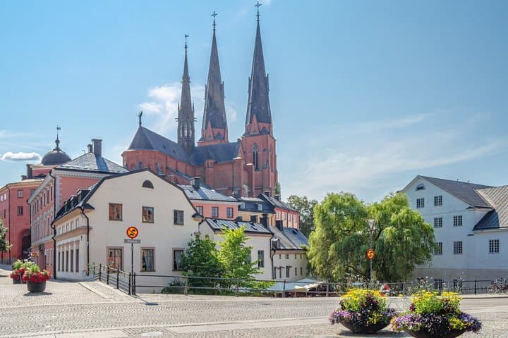 Uppsala & Sigtuna Private Tour from Stockholm: Vikings & History