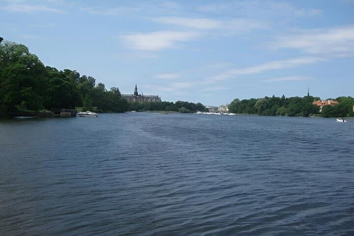 Stockholm Djurgården and Östermalm Island Tour