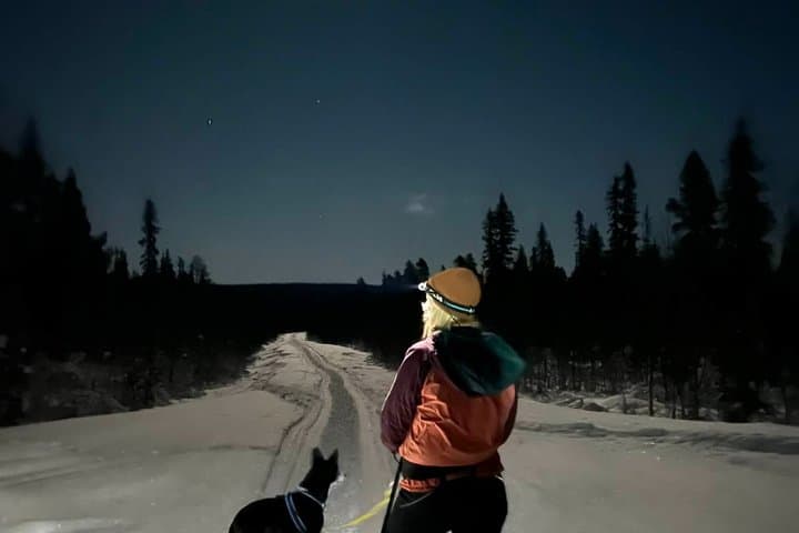 Kiruna Small Group Snowshoe Tour with Fika