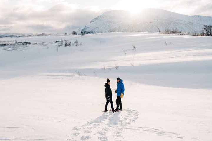 Discover the Abisko and Bjorkliden with Lunch