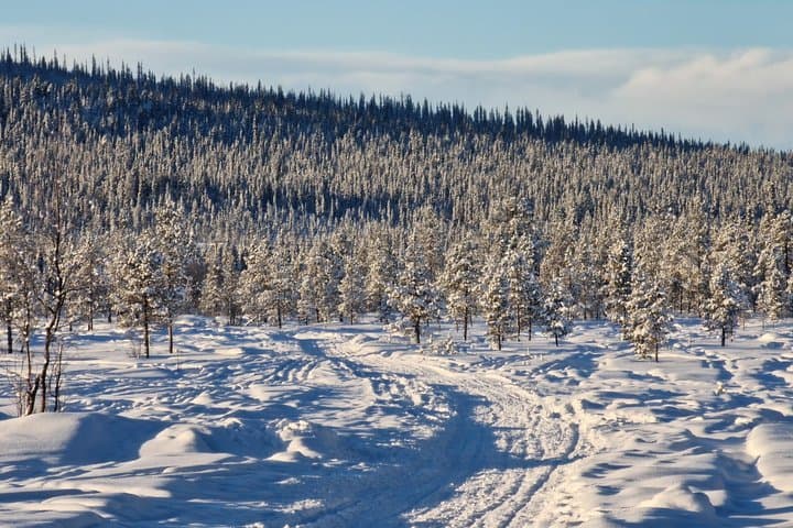 Kiruna Small Group Snowshoe Tour with Fika