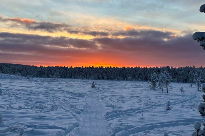 Kiruna: Private Snowshoeing & Sauna Experience