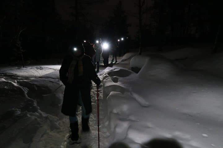 Luleå Northern Lights Snowshoeing Tour