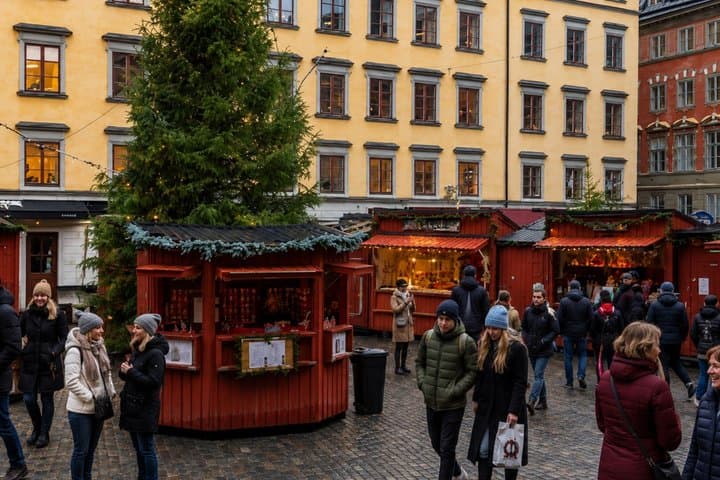 Stockholm Christmas Tour: Private & Custom with a Local Guide