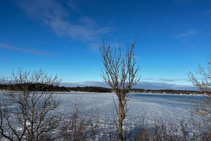 Vaxholm 1719 Save the City