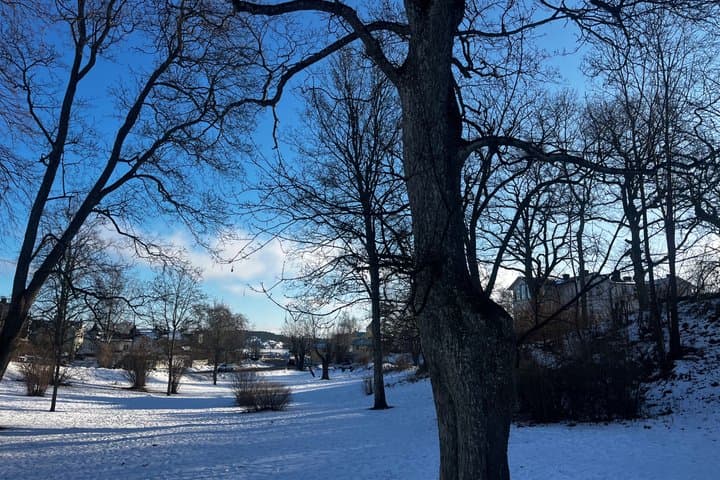 Vaxholm 1719 Save the City