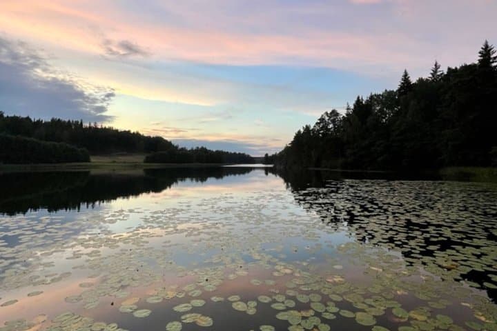 Stockholm: Sunset Hike in Tyresta National Park with Meal