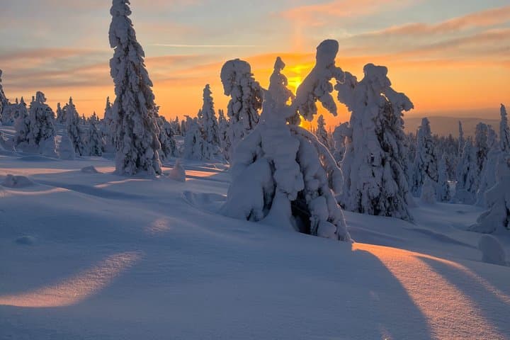 Swedish Lapland Snowshoe Hike