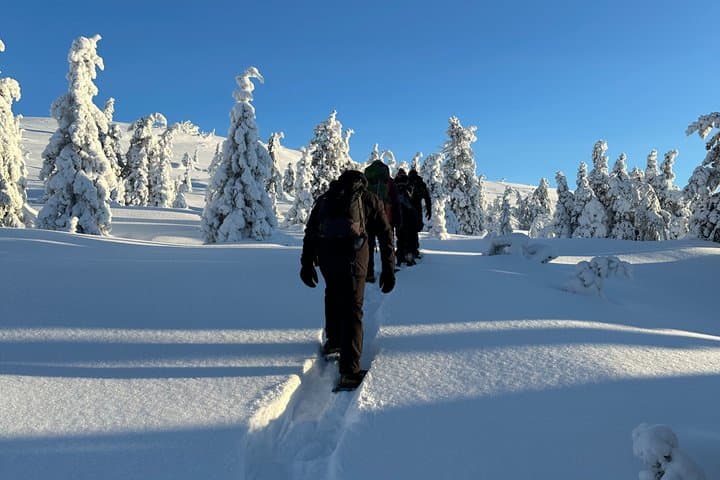 Swedish Lapland Snowshoe Hike