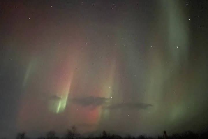 Abisko Northern Lights and Arctic Ecology Tour