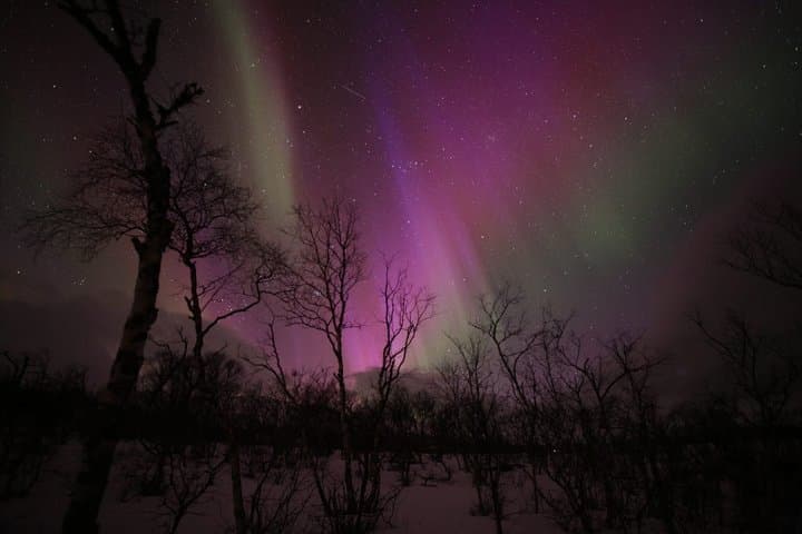 Abisko Northern Lights and Arctic Ecology Tour
