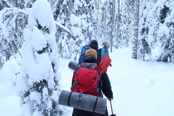 Luleå Snowshoe Walking Tour in Swedish Lapland