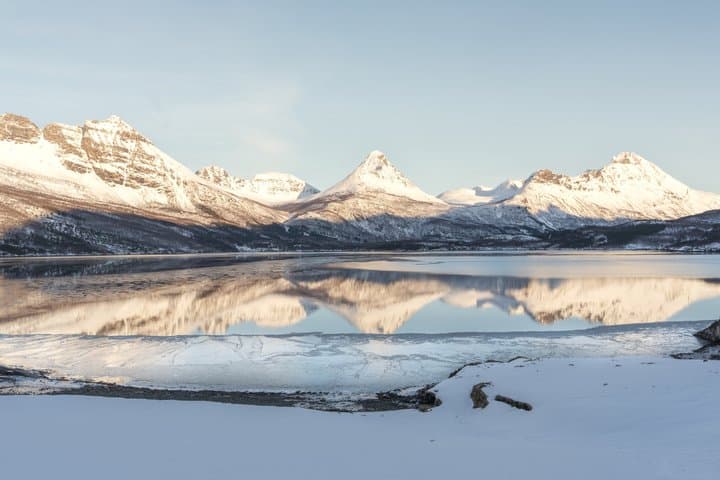 Hidden Fjords and Wildlife Expedition with Packed Lunch