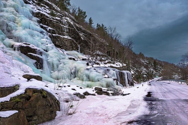 From Kiruna: Narvik Fjords Day Trip with Photography and Lunch